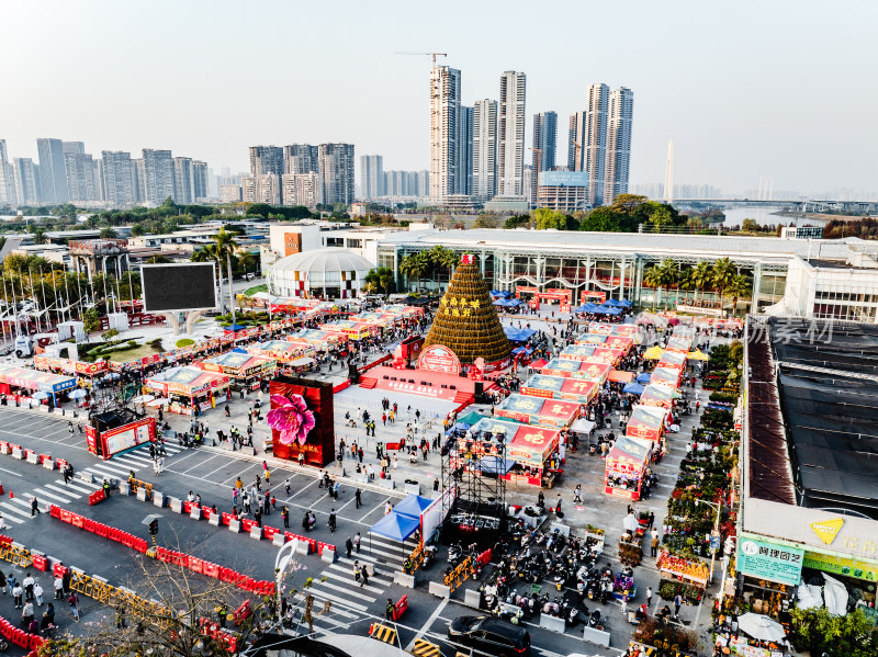 中国广东省佛山顺德区陈村花卉世界迎春花市