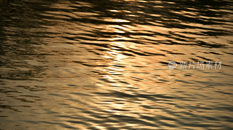 水面上的金色波光留下太阳长长的尾巴