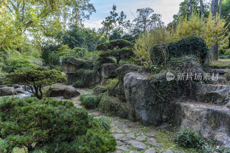 杭州西子湖畔杭州花圃风景