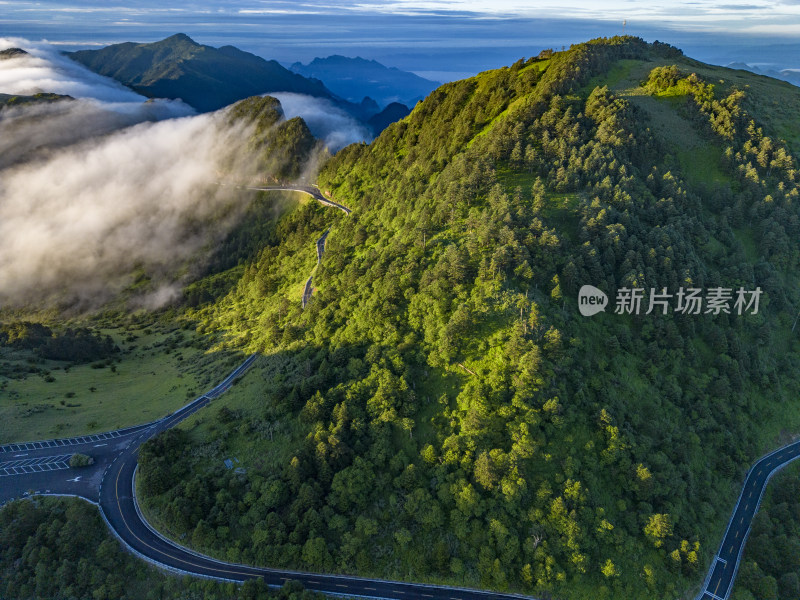 大自然高山云海湖北神农顶景区