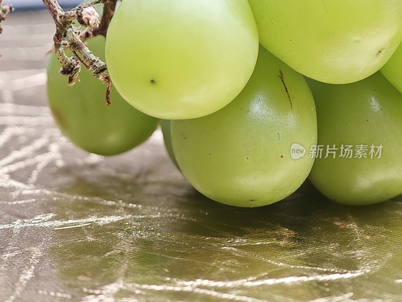 青提特写展示果实饱满的青提近景