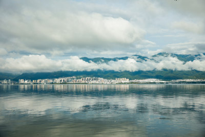 湖边树林与远处城市风光