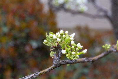 花花草草园艺绿地