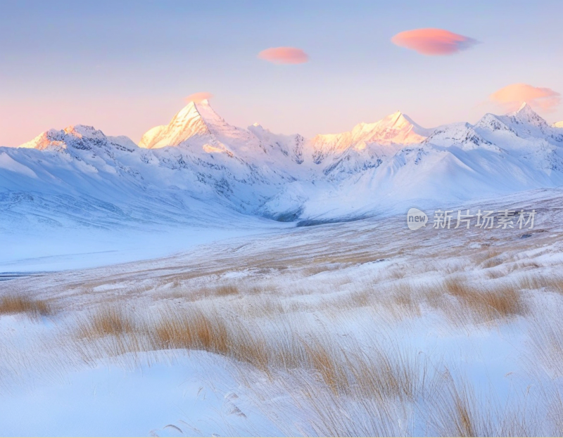 高山雪地