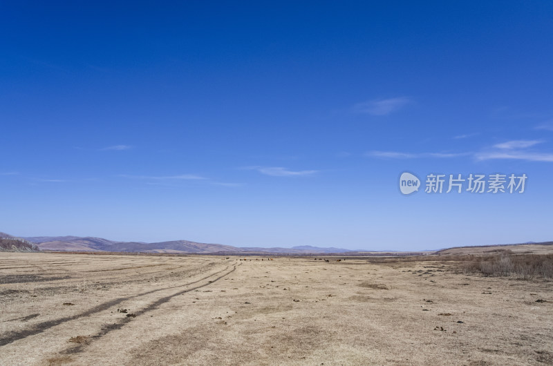 内蒙古呼伦贝尔临江屯草原牧场秋景