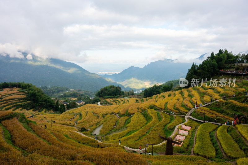 浙江丽水云和梯田景区风光