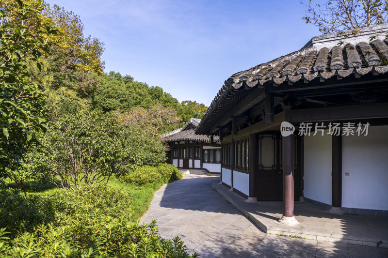 杭州西湖风景区曲院风荷风景