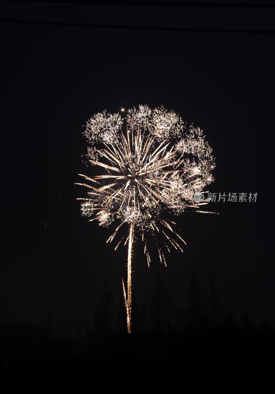 夜空中绽放的璀璨烟花全景