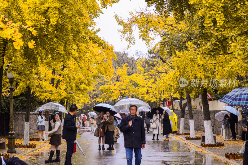 青岛八大关风景区风光