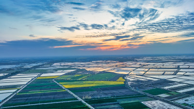 夕阳下湖北江汉平原的农田与鱼塘