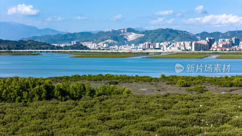 惠州市盐洲海洋湿地公园-红树林航拍