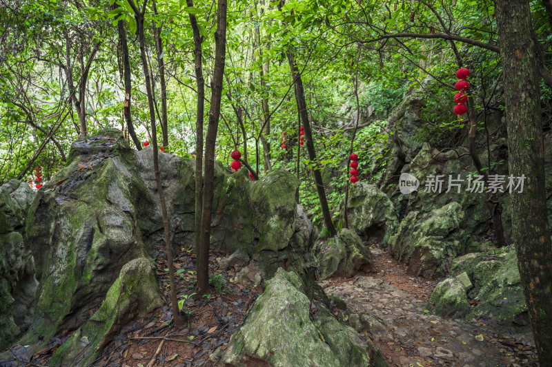 杭州西湖三天竺法镜寺三生石风光