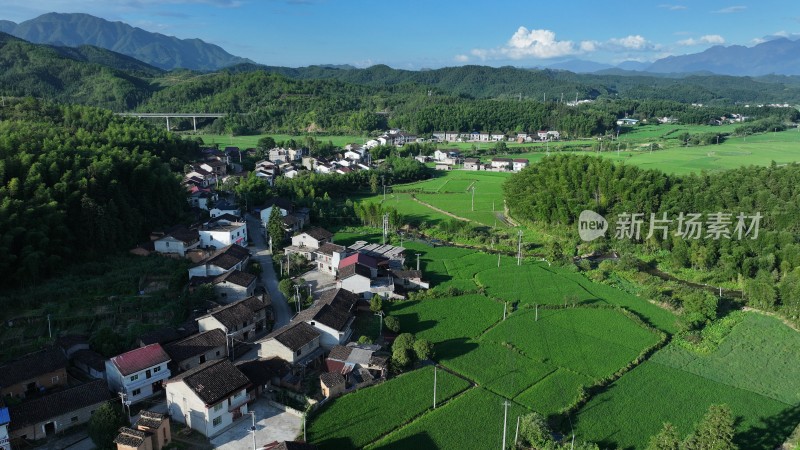 南平水稻田航拍