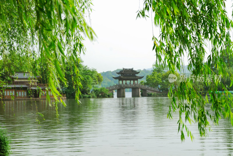 杭州 西湖杨柳 古桥流水 凉亭