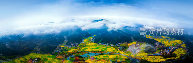 连云山下象形山油菜花海