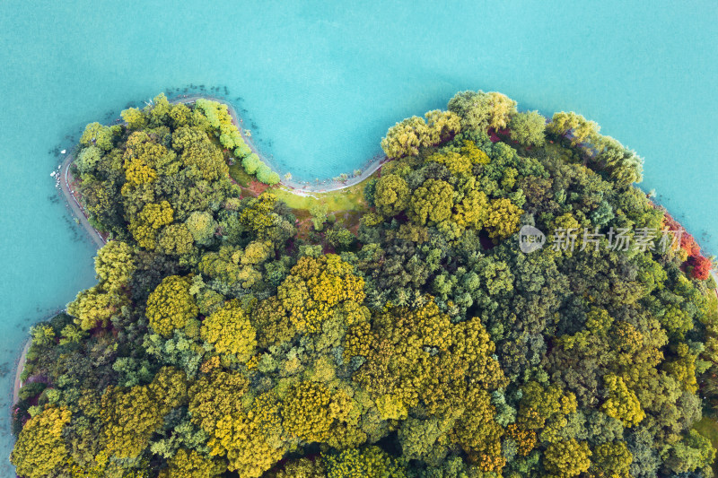 树木茂密的岛屿与青色的湖水