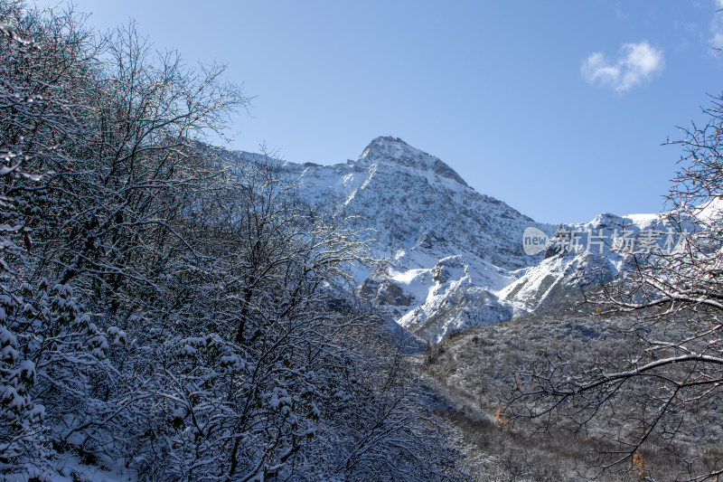 四川阿坝州黄龙景区冬日雪山胜景