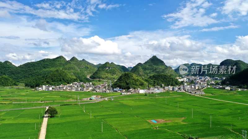 夏季乡村田园水稻稻田风光