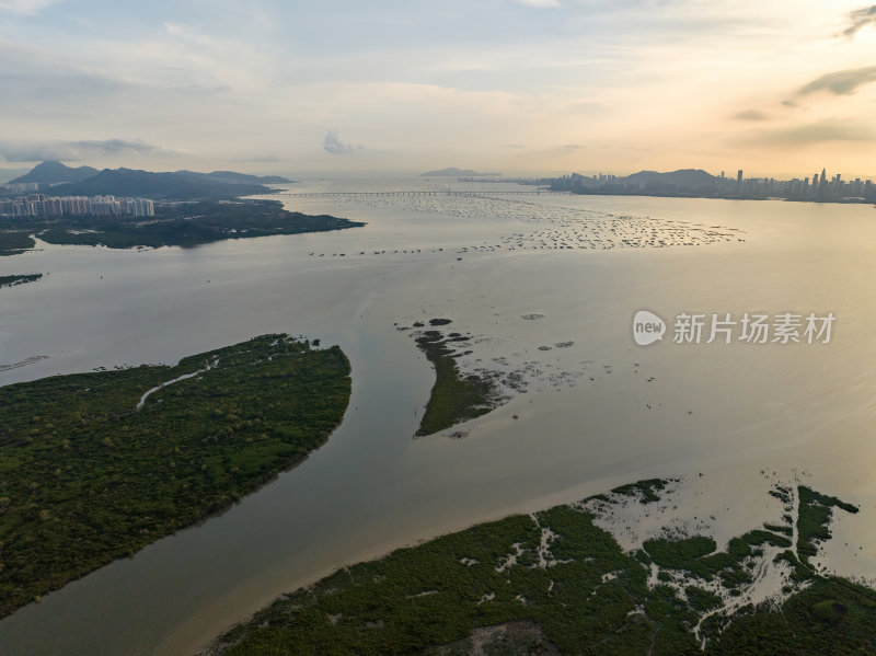 广东大湾区深圳前海湾涂滩日落城市夜景航拍