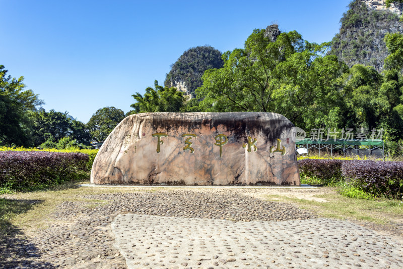 阳朔大榕树景区