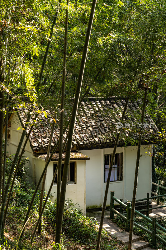 上海松江佘山森林公园自然建筑景观