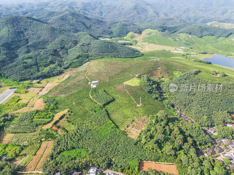 山峦梯田航拍图