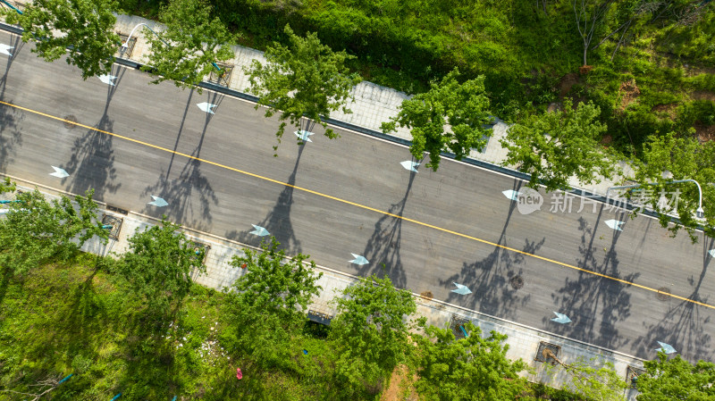 笔直的城市道路和行道树