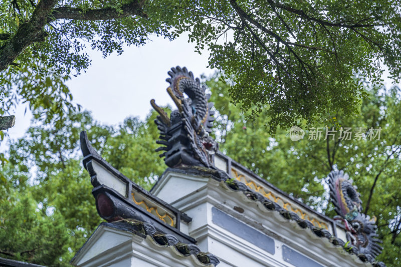 浙江普陀山梅福禅院风光