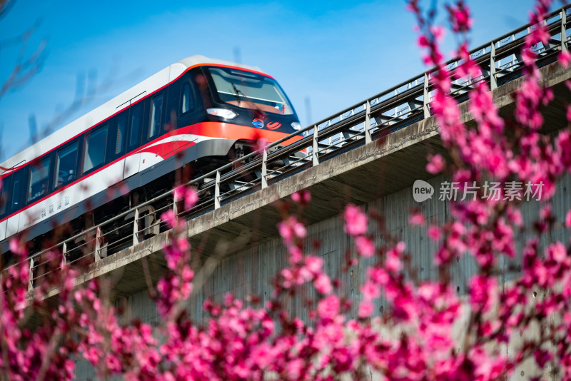 驶向春天的列车