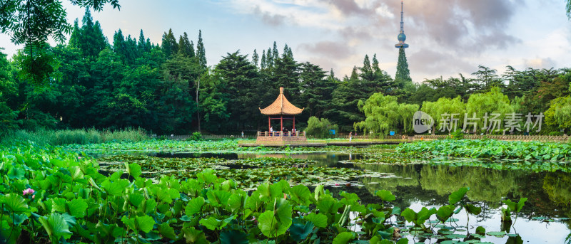 山东青岛中山公园小西湖全景图