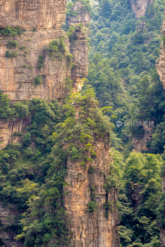 中国湖南张家界景区奇特山峰与茂密森林