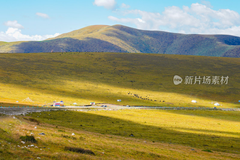 318川藏线川西甘孜高海拔草原雪山自然风光