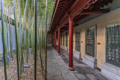 杭州上城区孔庙古园林风景