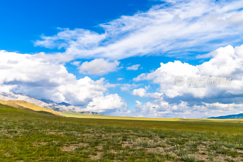 新疆赛里木湖草场