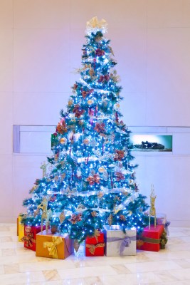 酒店 圣诞树