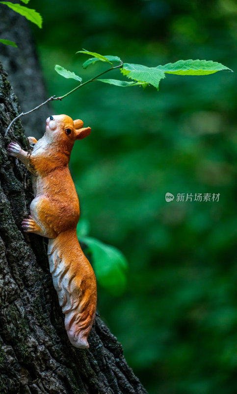 西安秦岭终南山南五台树上的松鼠特写