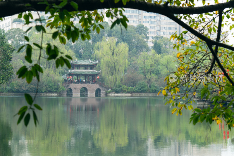 春天的成都棠湖公园风景