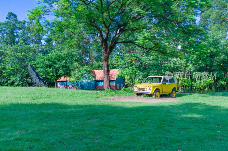 广州南沙蒲洲花园绿色草坪树林与废弃汽车