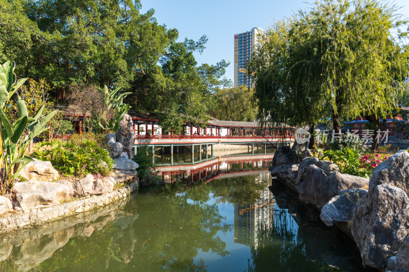 绿树环绕的水上廊桥风景