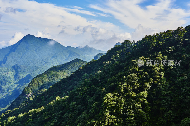 云雾缭绕的金佛山