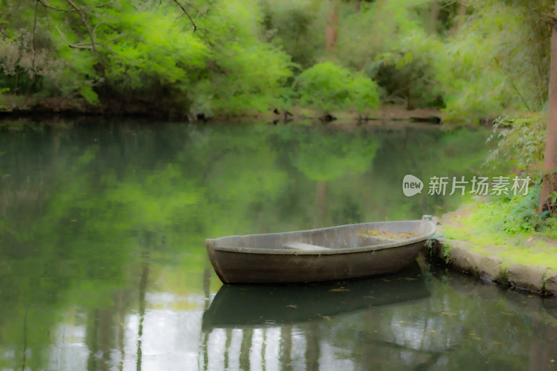 西湖边停泊的小船 宁静自然的风景