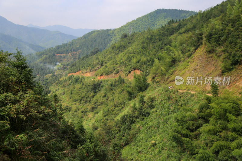 山脉 山坡 森林 蓝天 梯田