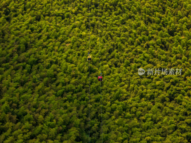 夏季白天航拍常州溧阳天目山南山竹海景区