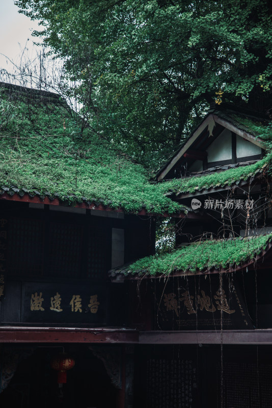 四川省成都市都江堰市 青城山景区