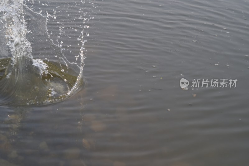 水滴落入水面瞬间景象