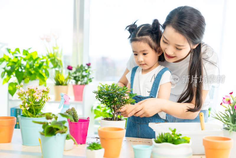 快乐的母女俩在家种植盆栽