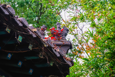 南京钟山风景名胜区明孝陵中的建筑风景