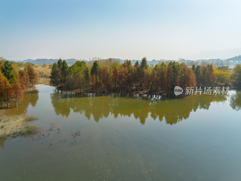 福州多彩树林沿水域分布的自然风景航拍