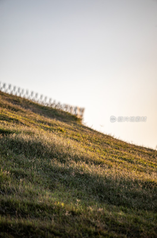 黄昏落日时青岛小麦岛公园自然风景城市景观