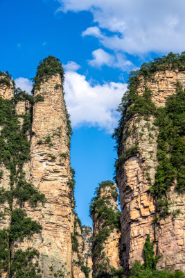 中国湖南张家界景区奇特山峰与茂密森林